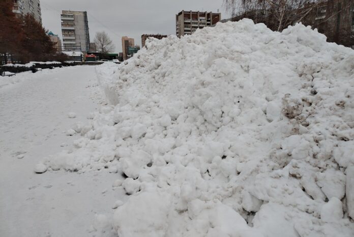 Подрядчики заплатят за поломанные деревья и кустарники в Новосибирске