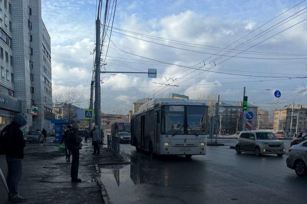 Для перевода транспорта Новосибирска на муниципальный контракт нужно 20 млрд