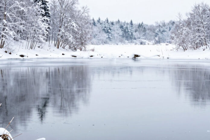 Под туристические проекты в Новосибирской области отвели 9 тыс. га озеро