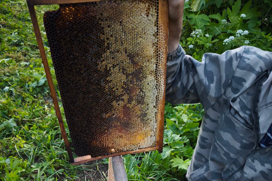 Новосибирские предприниматели вкладываются в нестандартные проекты на селе