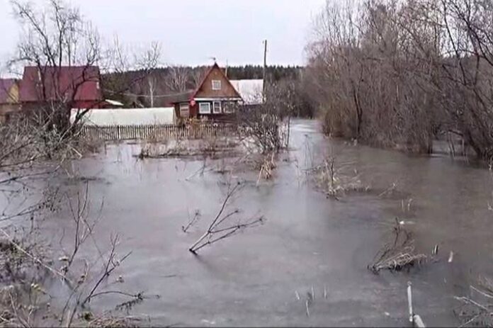 Восемь садовых обществ в Новосибирске попадают в зону подтопления
