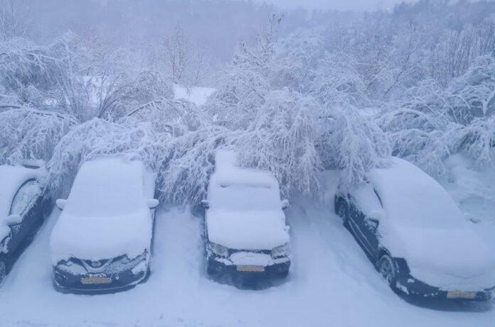 Новосибирцы задолжали по транспортному налогу более миллиарда рублей