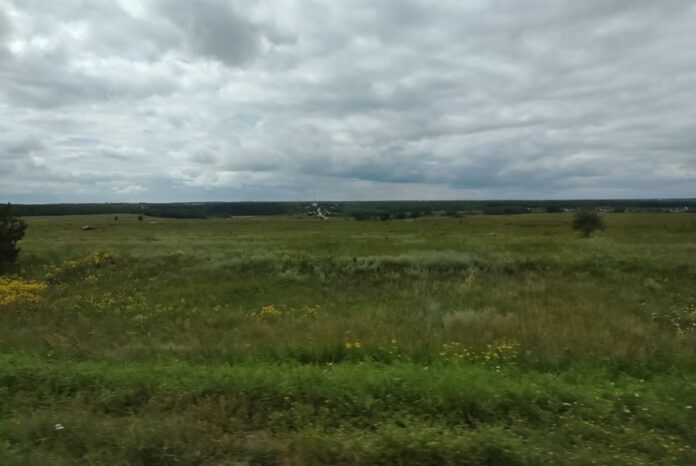 Семь земельных участков под Искитимом возвращают в собственность области