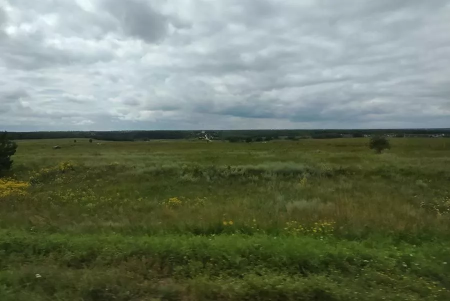 Семь земельных участков под Искитимом возвращают в собственность области