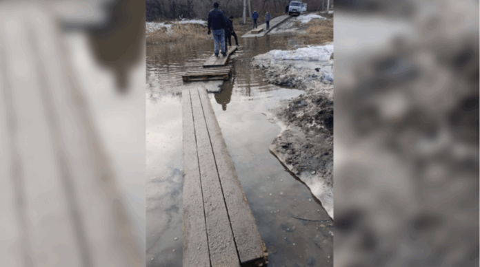 Новосибирцы ходят в детскую поликлинику в Оби по самодельному мосту из палет