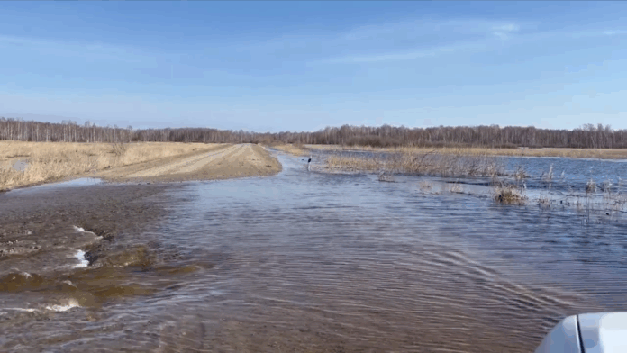 ТУАД закрыл для движения дорогу к Чулыму в Новосибирской области
