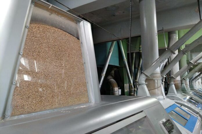 Новосибирские аграрии готовятся экспортировать отруби в Китай