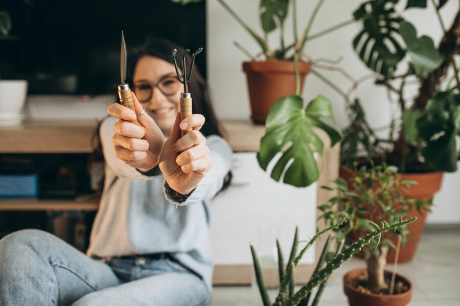 Уход за комнатными растениями