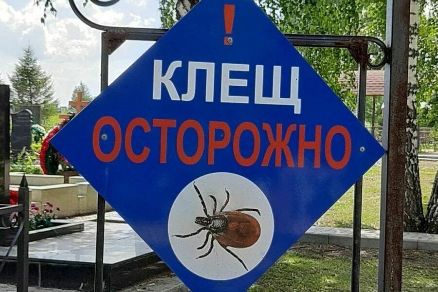 В Новосибирской области зафиксированы первые случаи укусов клещами