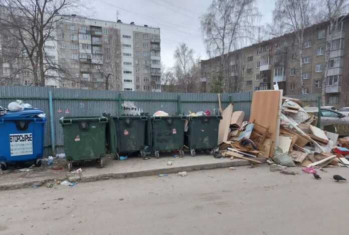 Управляющие компании и «Спецавтохозяйство» Новосибирска наказали за мусор