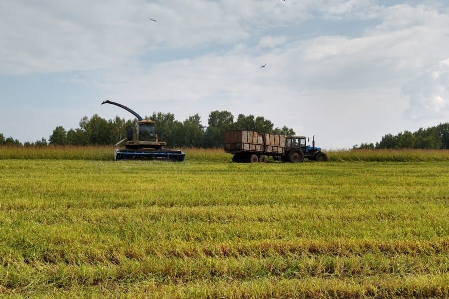 В Новосибирской области аграрии стали продавать свои земли и фермы