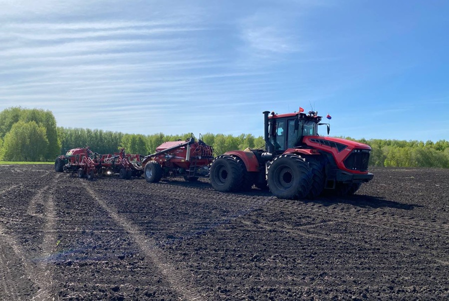 Регионам Сибири поручено актуализировать планы по посевным площадям