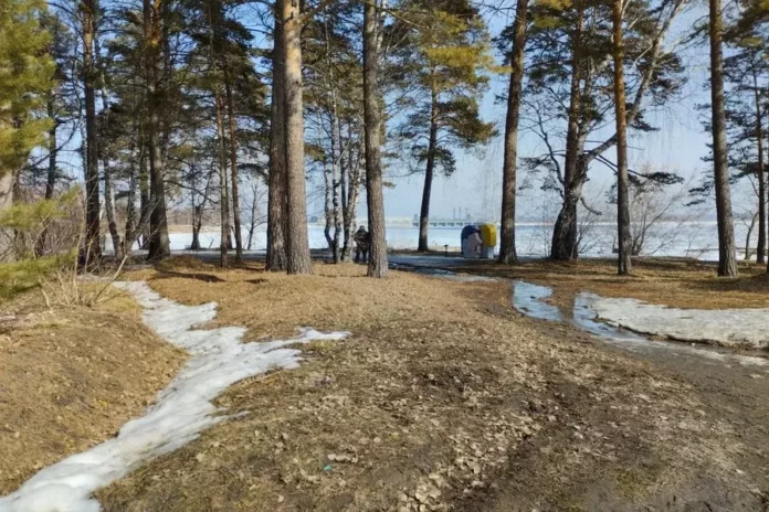 В шести муниципалитетах Новосибирской области действует особый противопожарный режим