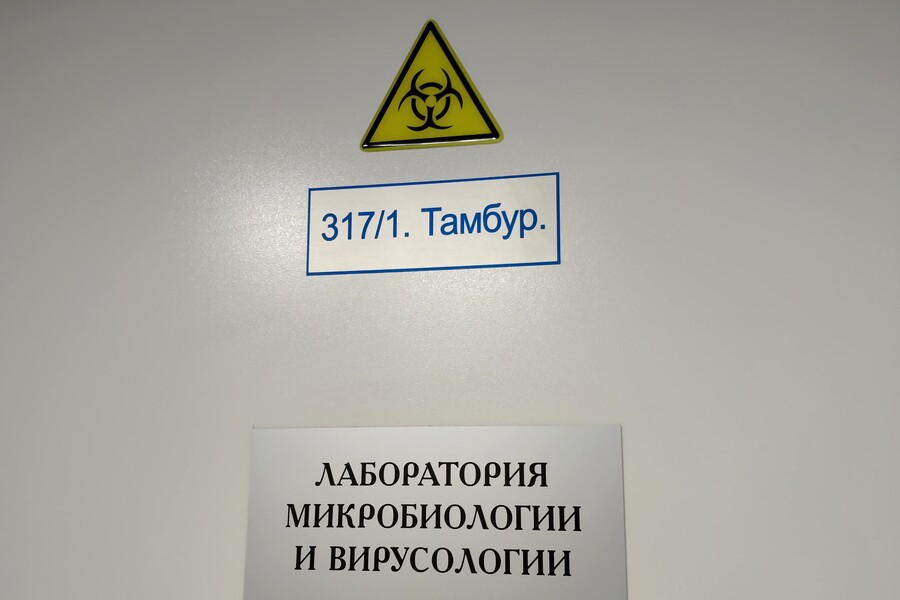 ВОЗ заговорила о новой инфекционной угрозе: что известно о хантавирусе и есть ли риски для России