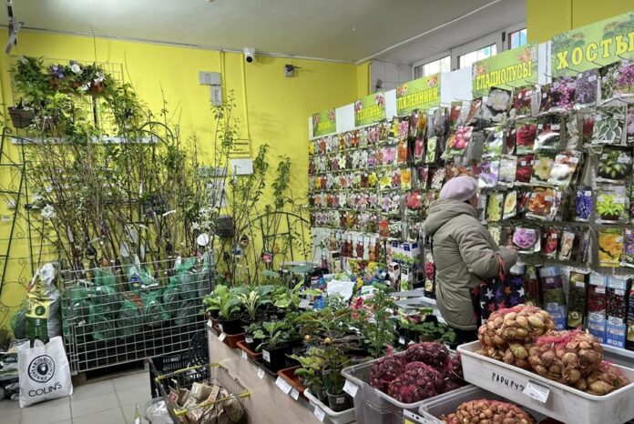 Продажи рассады приостановились из-за резкого похолодания в Новосибирске