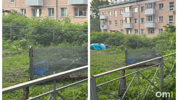 Новосибирцы устроили «курорт» с бассейном и мангалом во дворе жилого дома