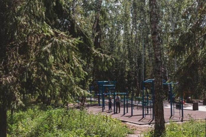 В Заельцовском парке часто возникают конфликты между пешеходами и велосипедистами