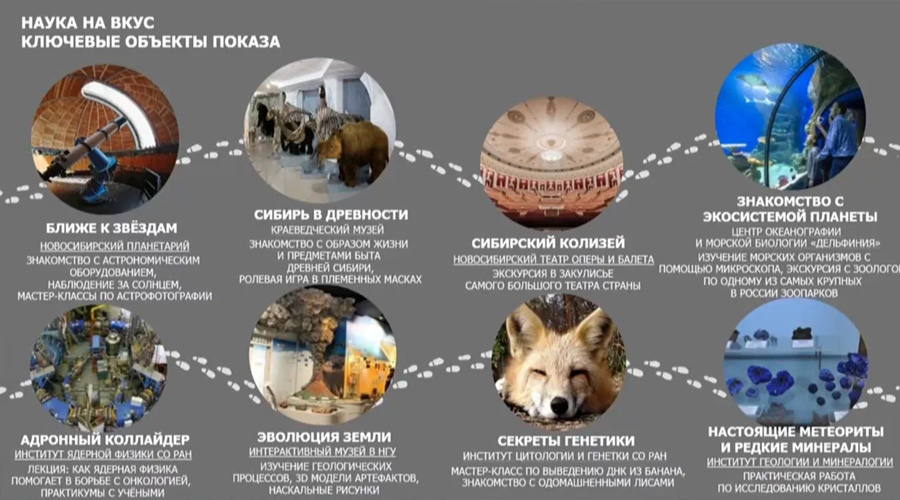 Наука на вкус