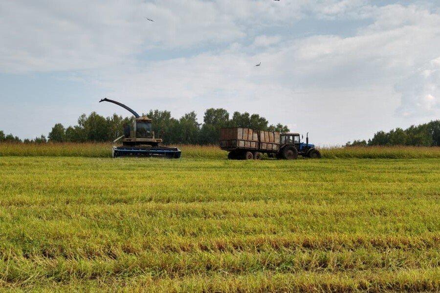 Имущество новосибирского сельхозпредприятия купил собственник «Солнечного дня»