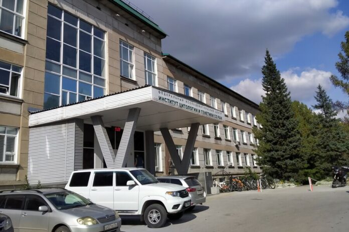 Новосибирские ученые запатентовали метод прогноза инфарктов у молодых мужчин Новосибирские ученые запатентовали метод прогноза инфарктов у молодых мужчин