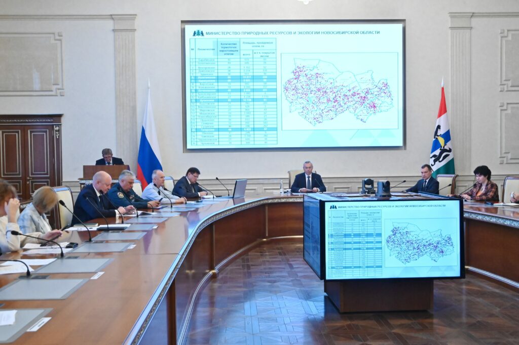 Пожароопасный сезон в Новосибирской области проходит в штатном режиме