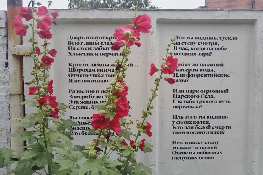 Стихотворение на заборе