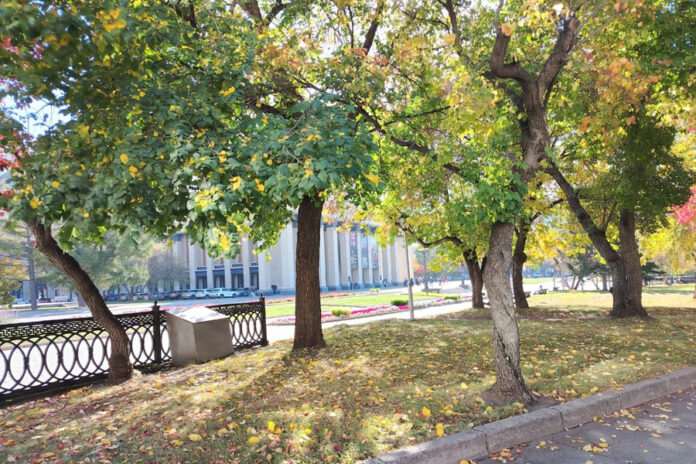 город