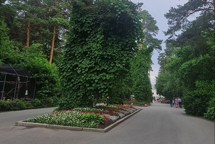 Новые павильоны готовятся к запуску в Новосибирском зоопарке