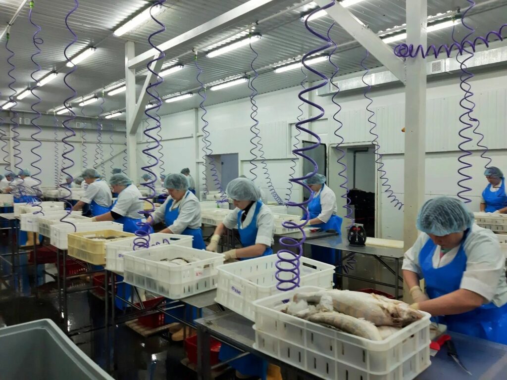 Эксперты РЦК помогут куйбышевскому рыбзаводу нарастить объемы производства