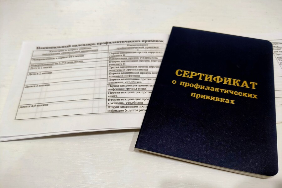 Новосибирский педиатр объяснила важность включения прививки от ВПЧ в нацкалендарь