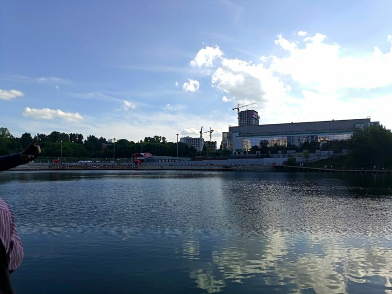 Брусника