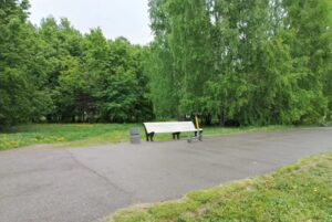Новосибирцев начнут прививать от аллергии на пыльцу березы