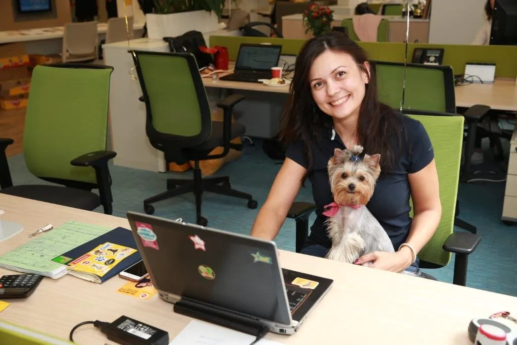 «Марс» тестирует pet friendly офис