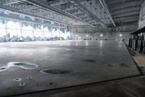 новости Новосибирска