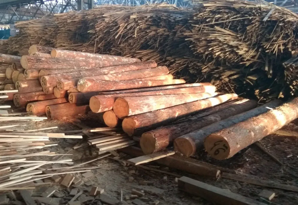 Красноярского инвестора поймали на продаже леса налево