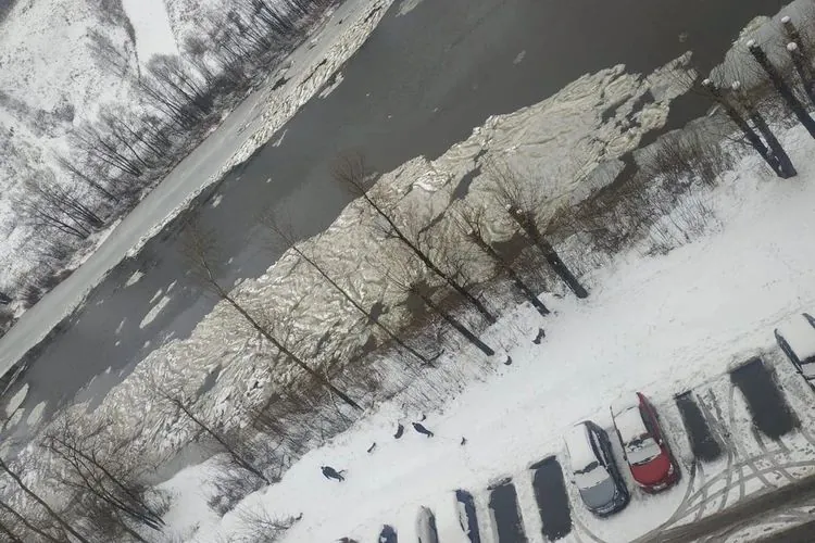 Грязно-желтые пятна на Ине, напугавшие новосибирцев, оказались редким природным явлением