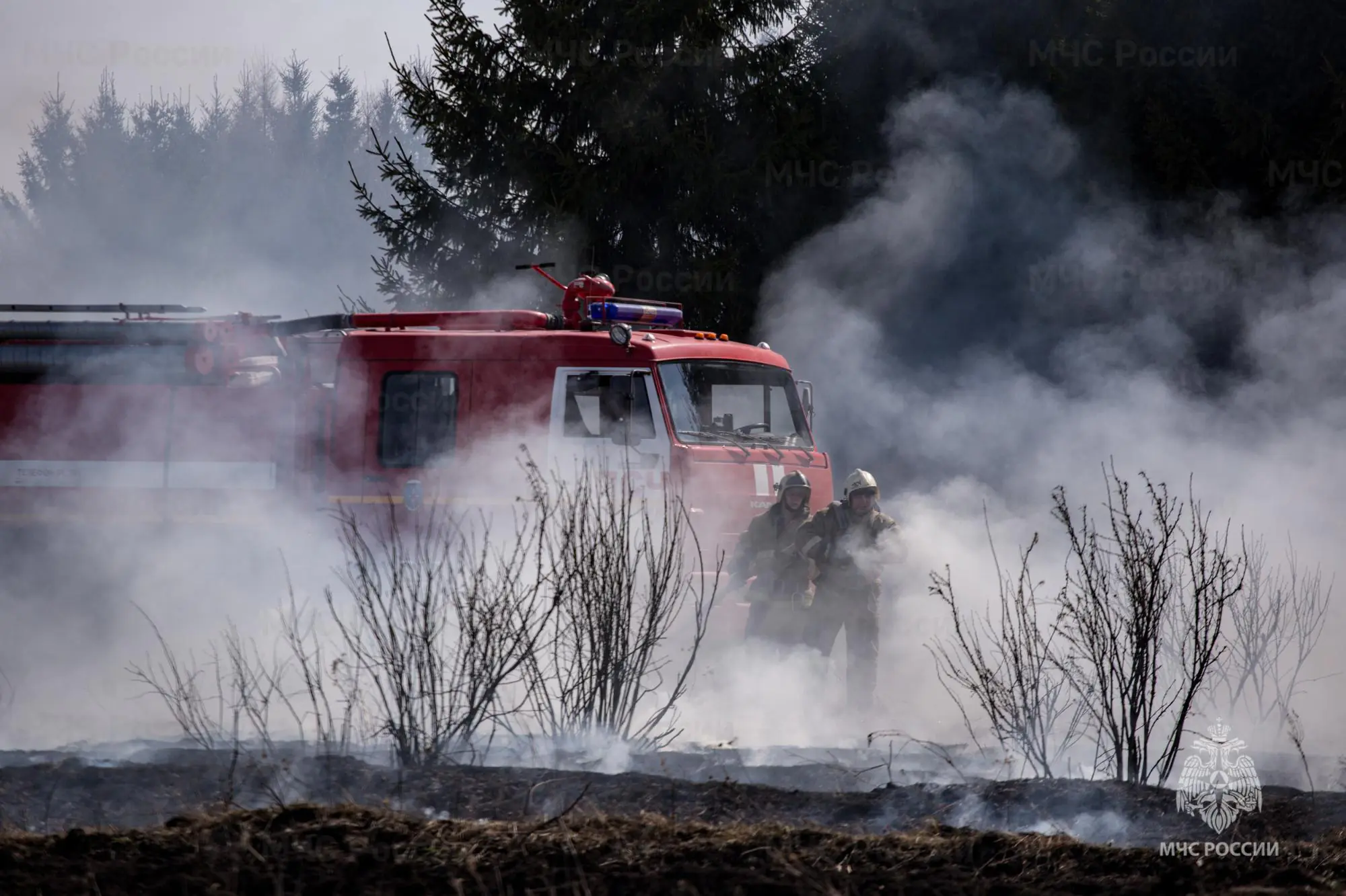 лесные пожары