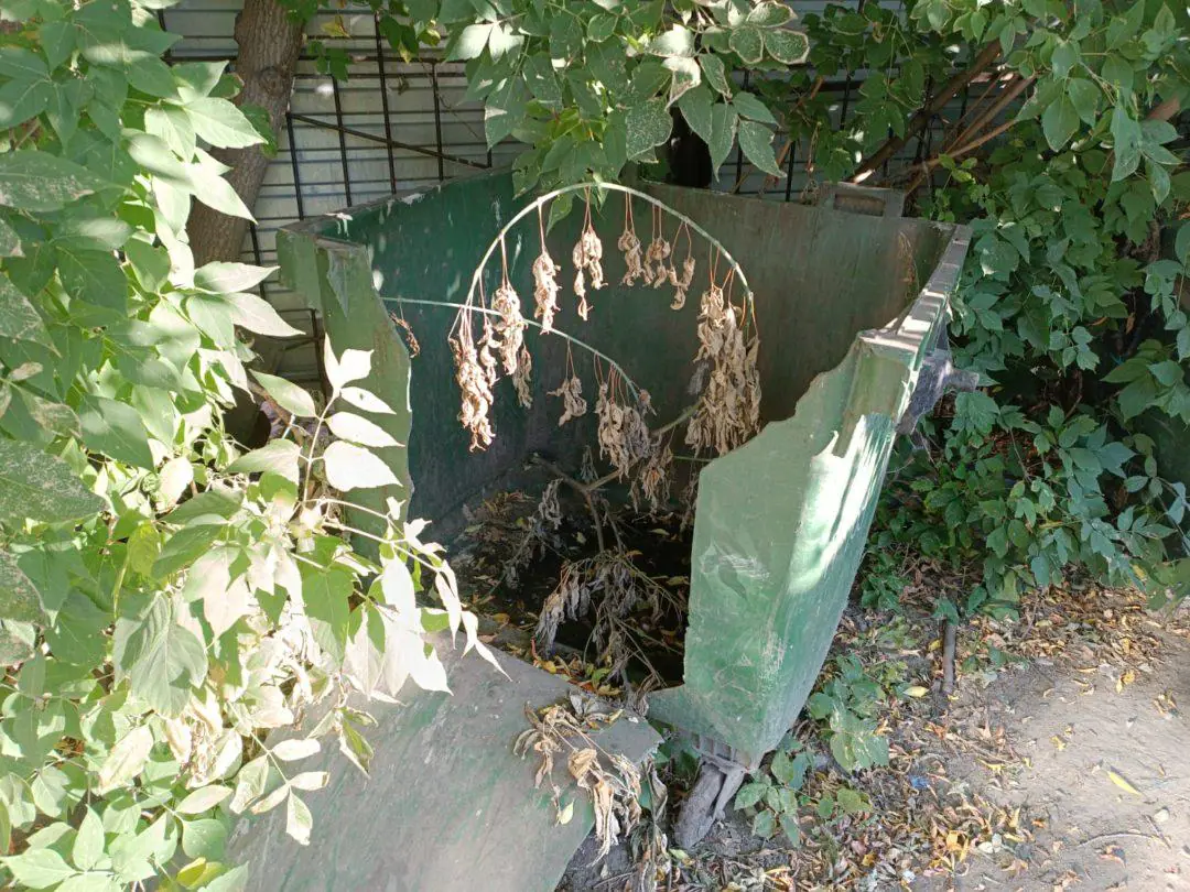 сломанный контейнер