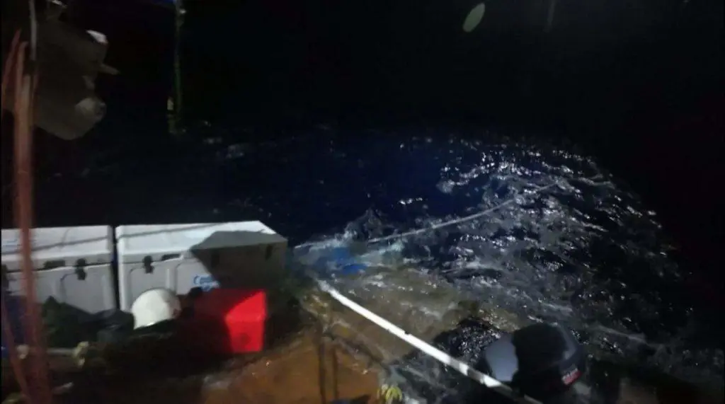 Сибиряки в кругосветной экспедиции Russian Ocean Way подверглись нападению акул