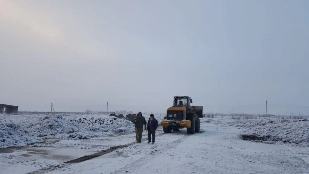 Технология производства удобрений из отходов запатентована в Новосибирске