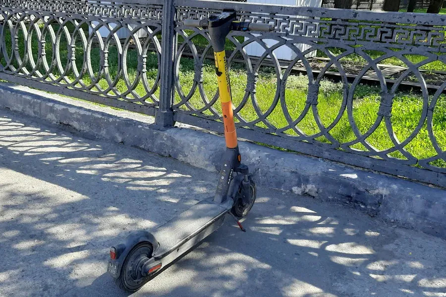 Необычные предложения по работе назвали в Новосибирской области