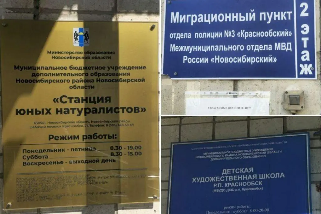 Миграционный центр поселился в детской художественной школе под Новосибирском