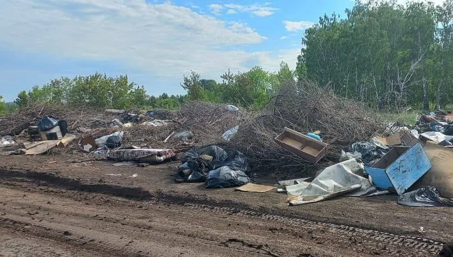 Две незаконные свалки ликвидировали в Новосибирской области