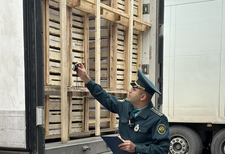 Более 6 тысяч тонн лимонов, имбиря и чеснока были ввезены в Сибирь