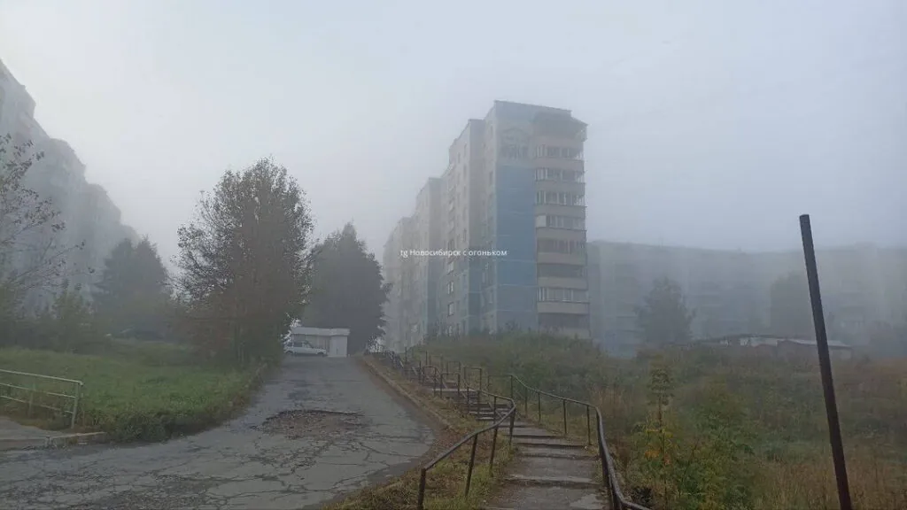 Прилет 14 рейсов в Новосибирск задерживается