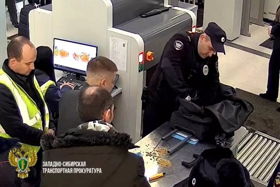 Вахтовик попался на вывозе золота через аэропорт Толмачево в Новосибирске
