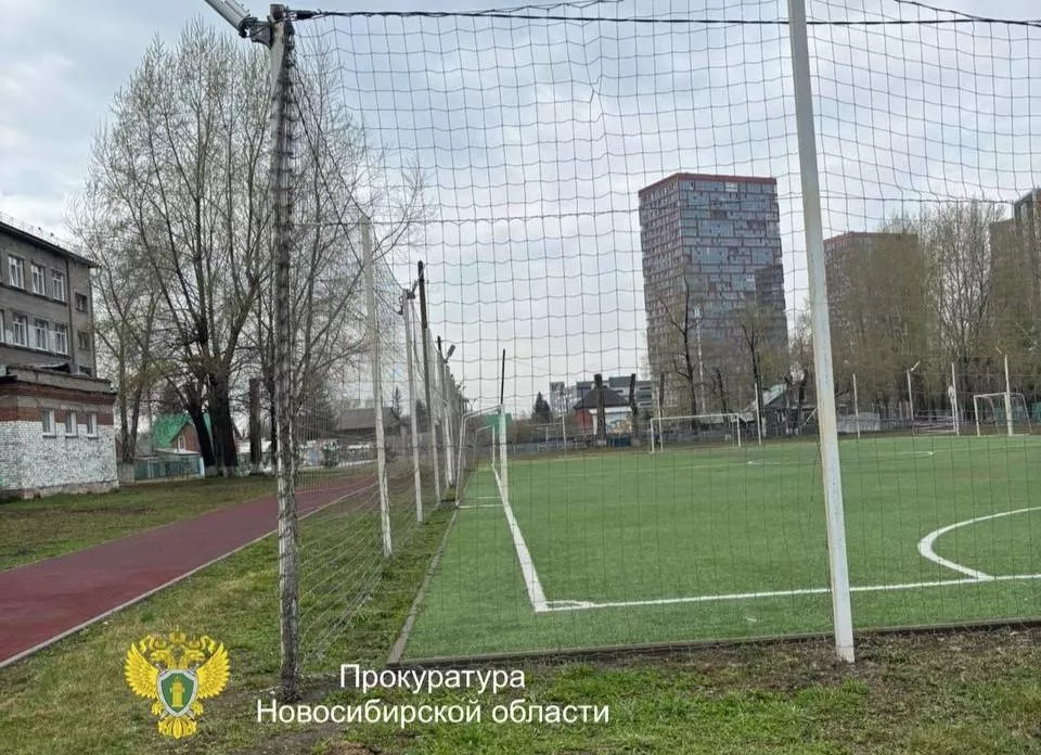 Директор новосибирской школы пойдет под суд из-за травм детей на футбольном поле