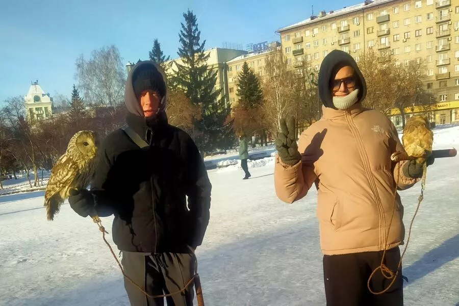 Владельцы сов 