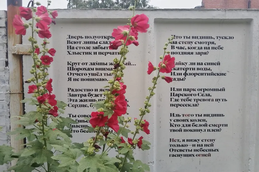 Стихотворение на заборе